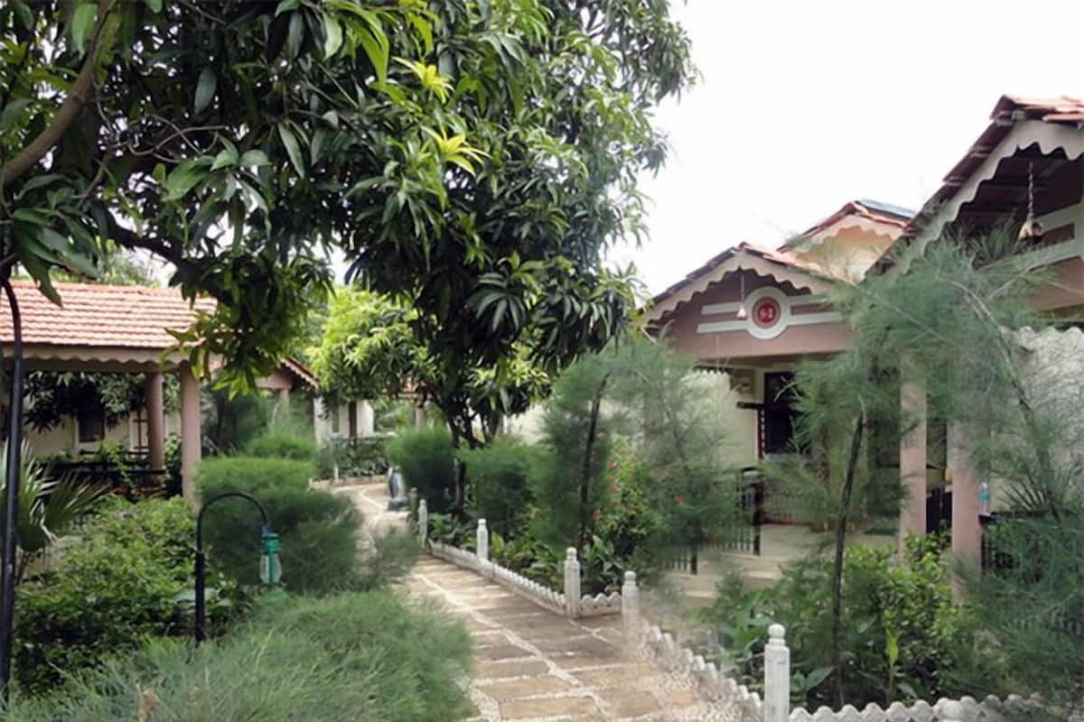 A pathway leading to a building with a tiled roof and a garden area with various plants and a small pond.