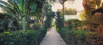 Saavaj Resort - Sasan Gir