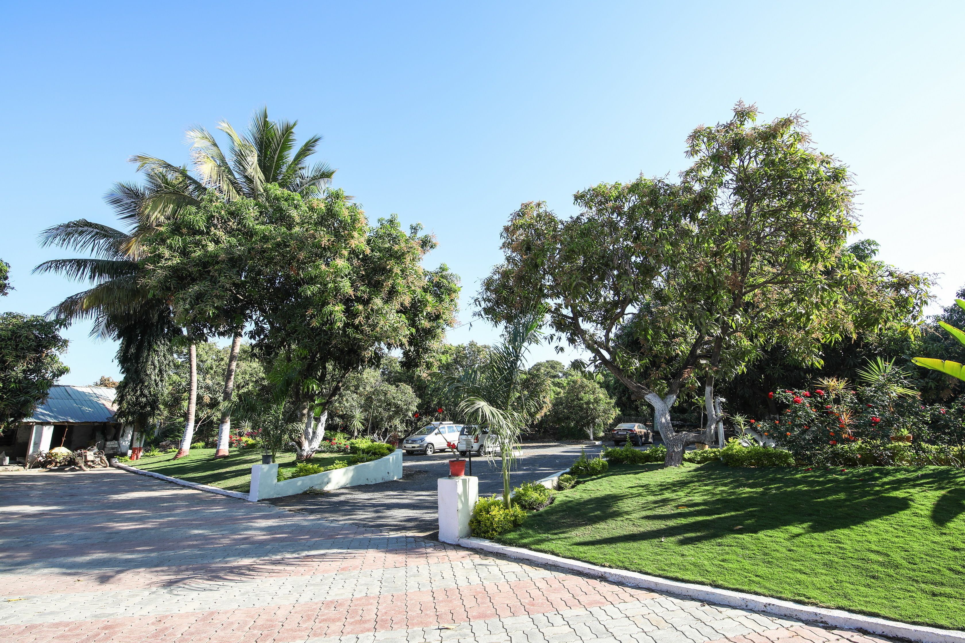 A paved pathway leading to a building with a covered entrance, surrounded by lush greenery and palm trees.