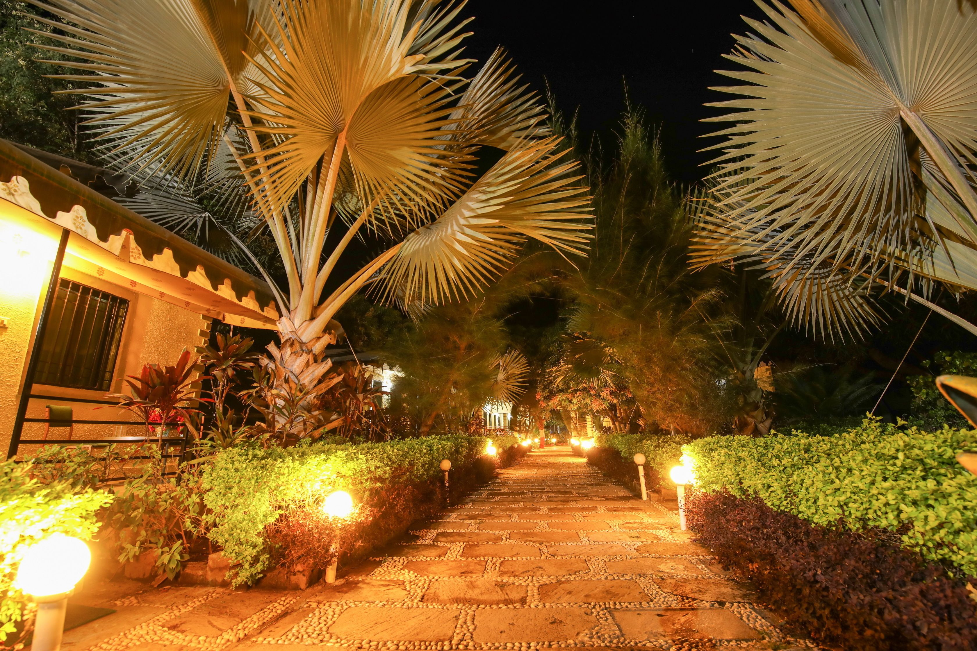 Saavaj Resort