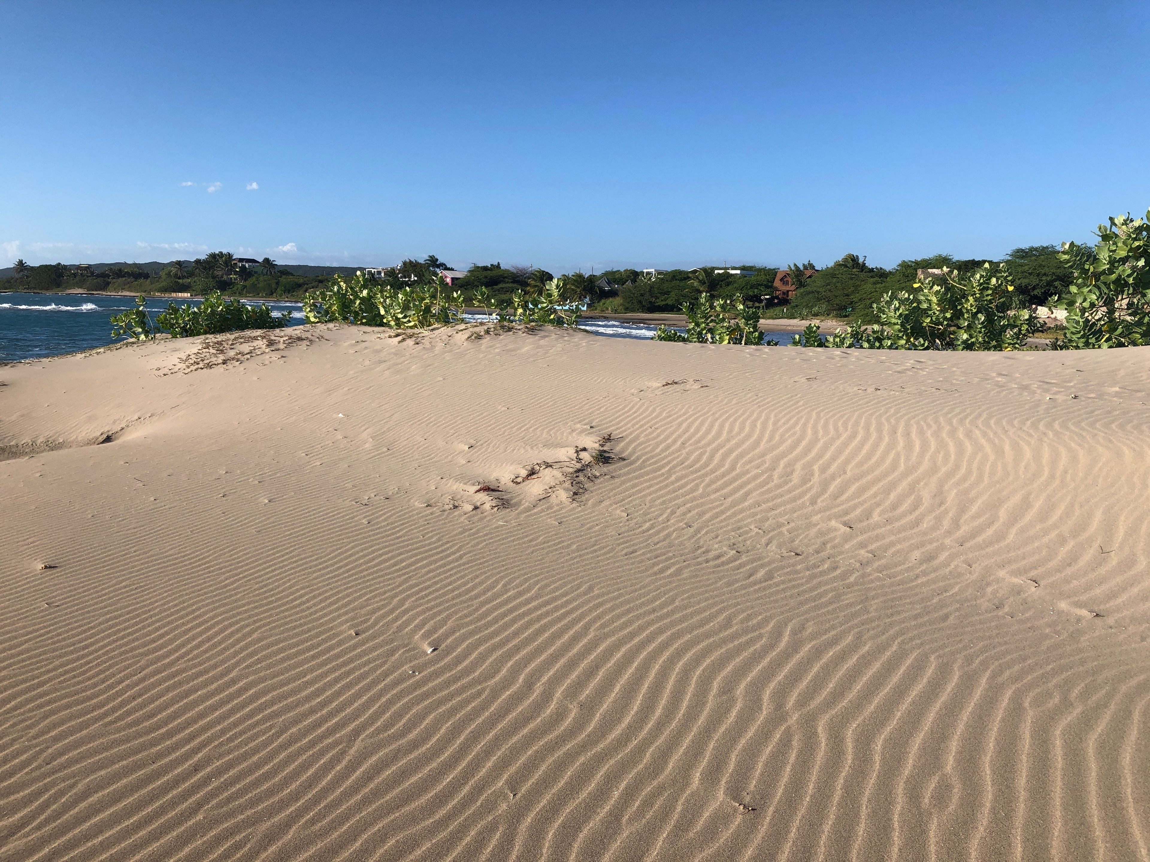 A sandy beach with gentle ripples, a clear blue sky, and distant buildings.