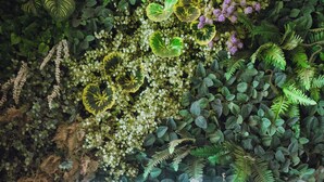Un letrero de neón con la leyenda 'Solaria Hotel' rodeado de abundante follaje y diversas flores.