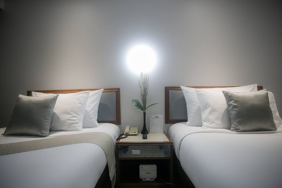 A hotel room with two beds, each with white linens and gray pillows. There is a nightstand between the beds with a lamp, a phone, and a small plant.