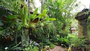 Jardín