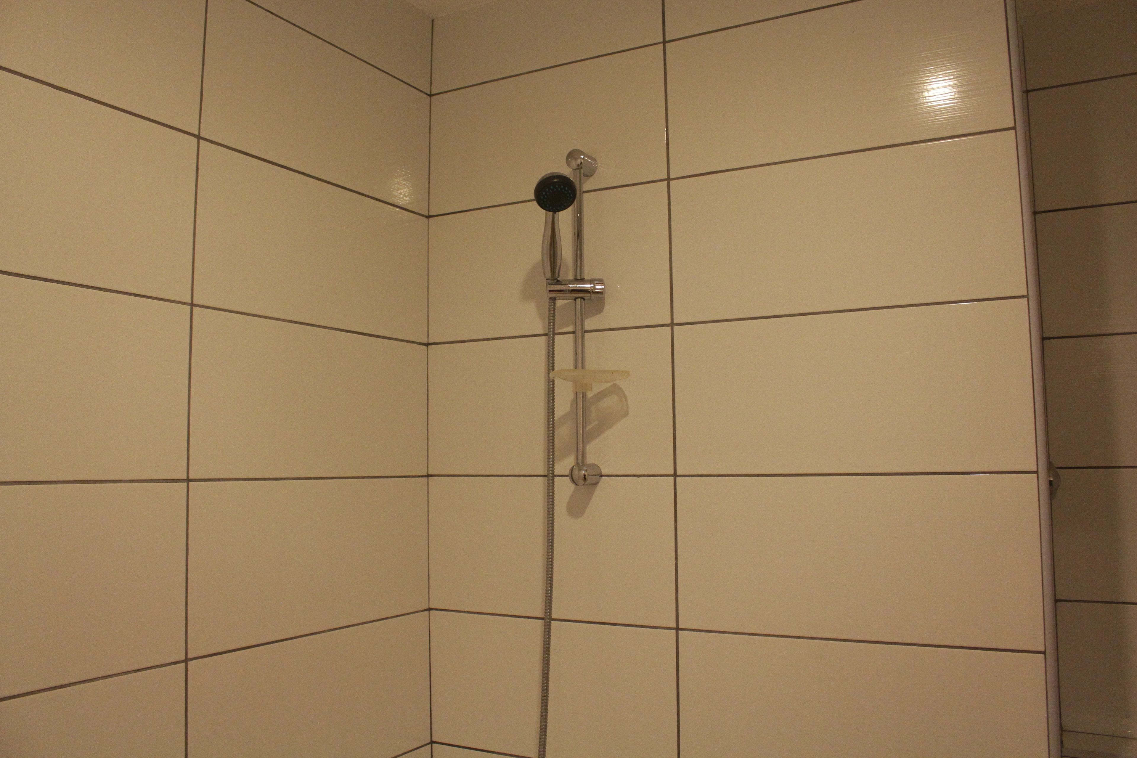 A shower with a handheld showerhead and a wall-mounted control.