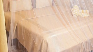A bed with a mosquito net, a pillow, and a blanket.