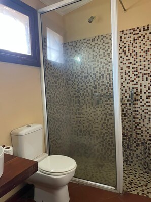 Regadera, amenidades de baño gratuitas, secadora de cabello, toallas 