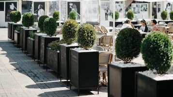 Café