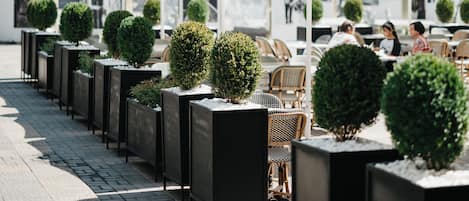 Cafe
