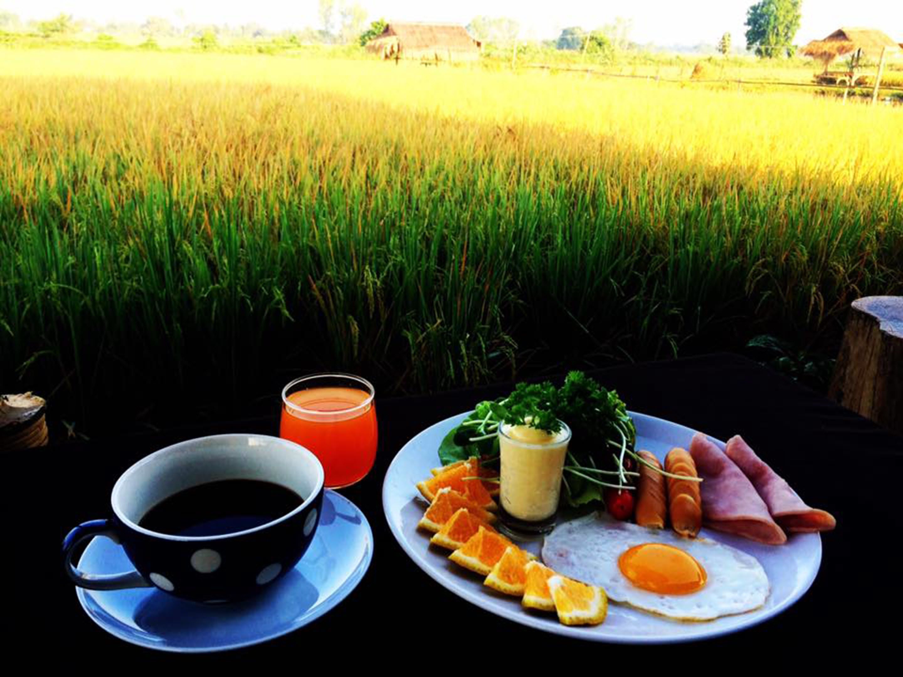 فطور إنجليزي يوميًا مقابل رسوم