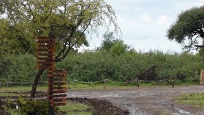 A signpost with multiple directional arrows pointing to various destinations. - Matsaodi Campsite (Rakops)