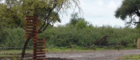 Terrein van de accommodatie