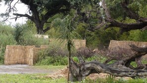 Área da propriedade