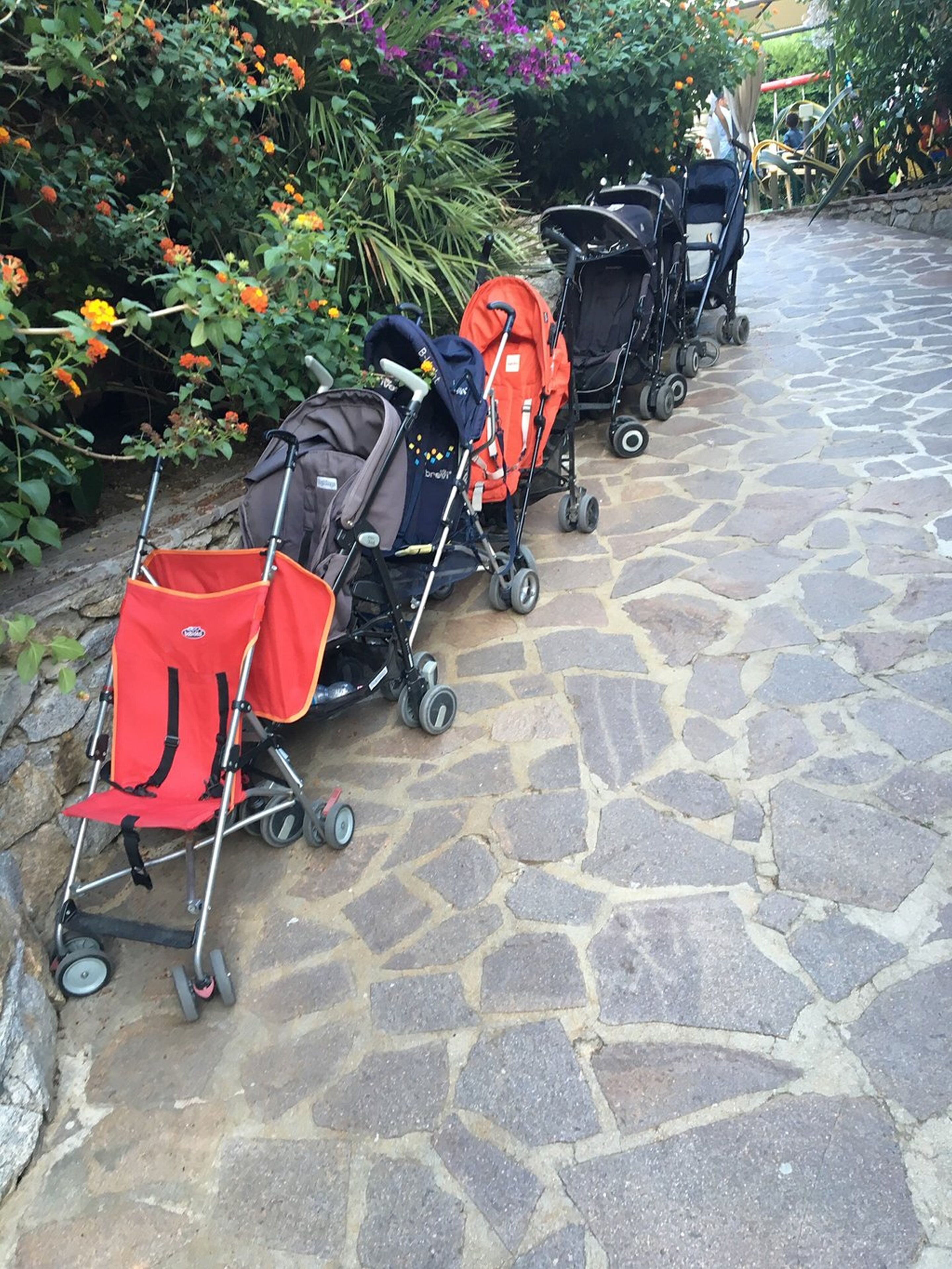 A row of strollers lined up on a stone-paved path with greenery and flowers in the background.
