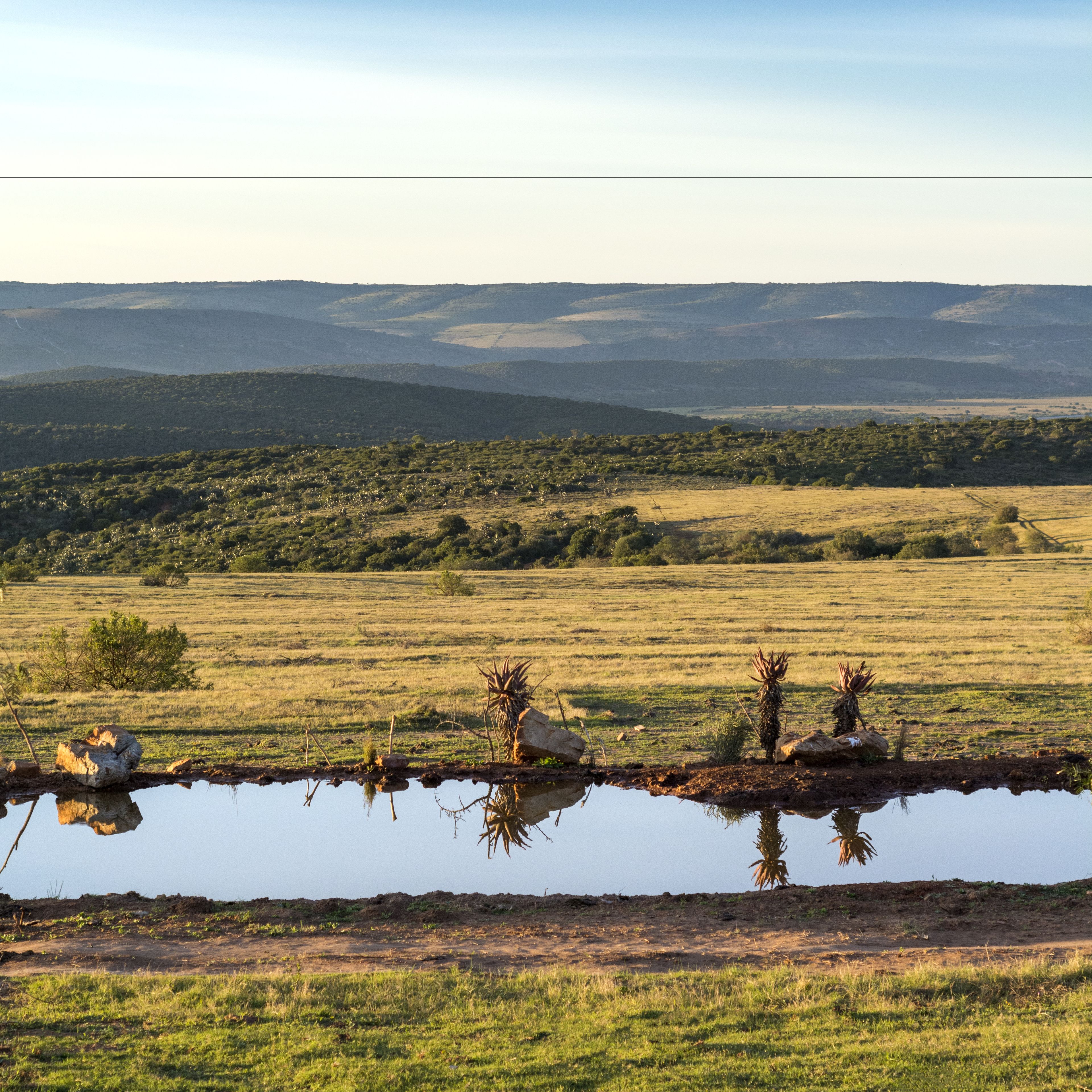 Un paysage naturel avec une étendue d'eau qui reflète les arbres et les collines en arrière-plan.