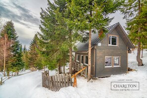 Exterior - Charlton Estate (Yablunytsia)