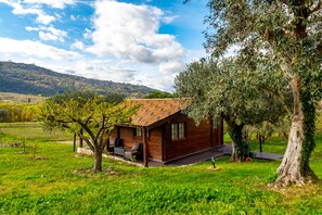Premium Bungalow, 1 Queen Bed, Mountain View, Garden Area | View from room - Quinta do Quinto - Turismo de Habitação (Guarda)
