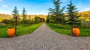 A cobblestone pathway leading through a park with evergreen trees and large orange planters.