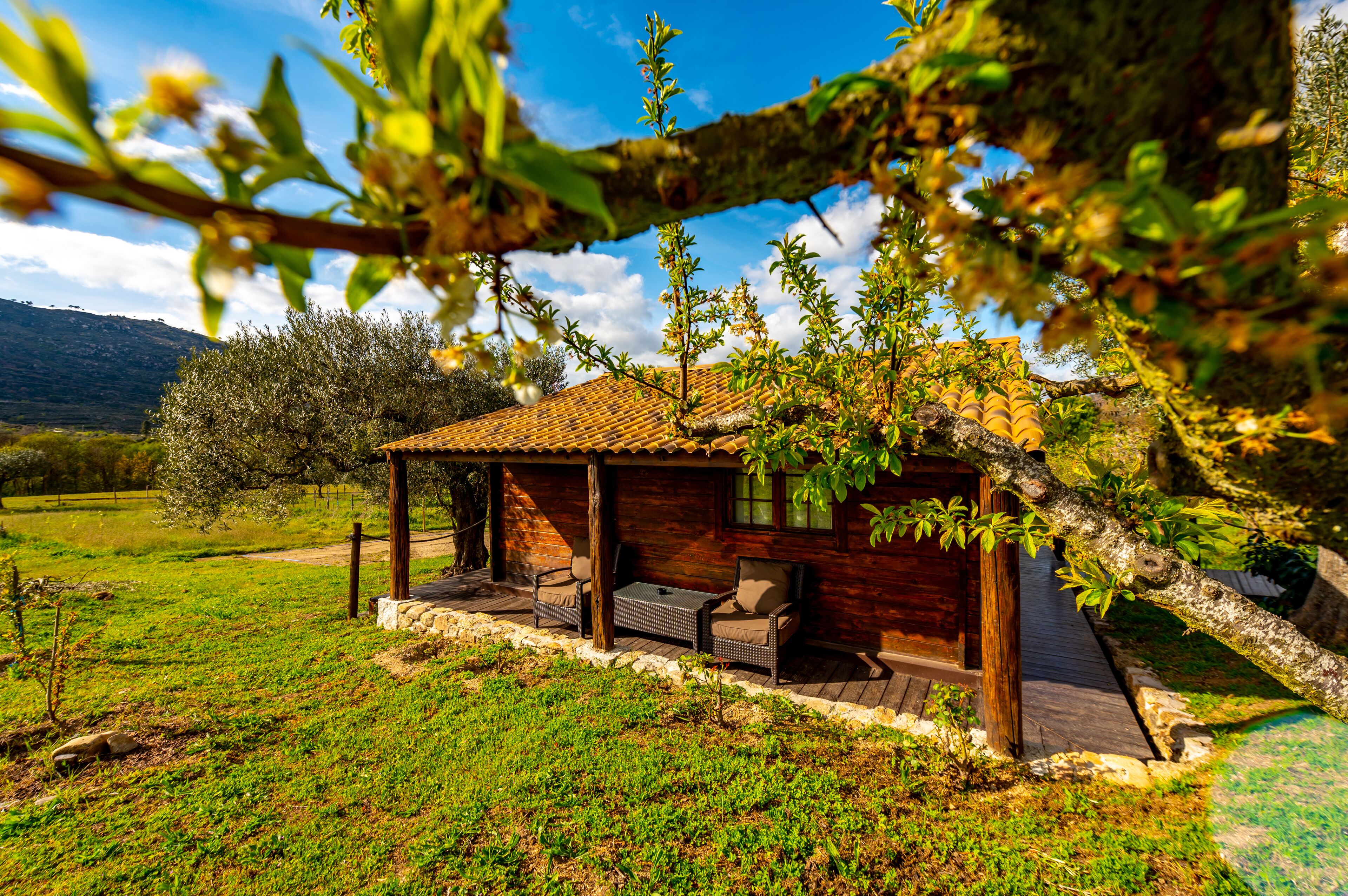 Premium bedding, minibar, free WiFi, bed sheets