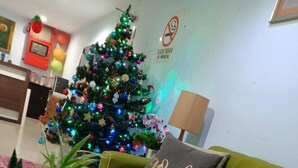 Un sofá verde con un cojín que dice 'goals' y un árbol de Navidad con luces de colores.