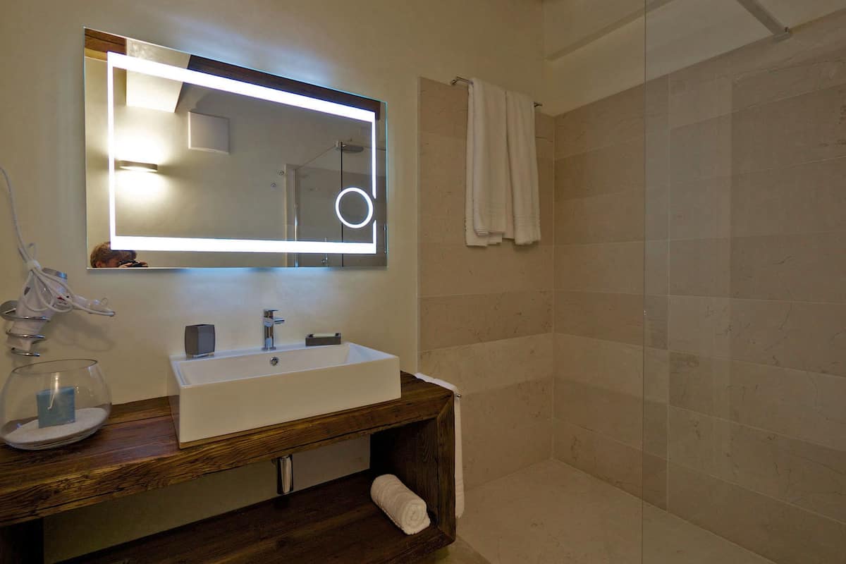 shower, free toiletries, hair dryer, bidet