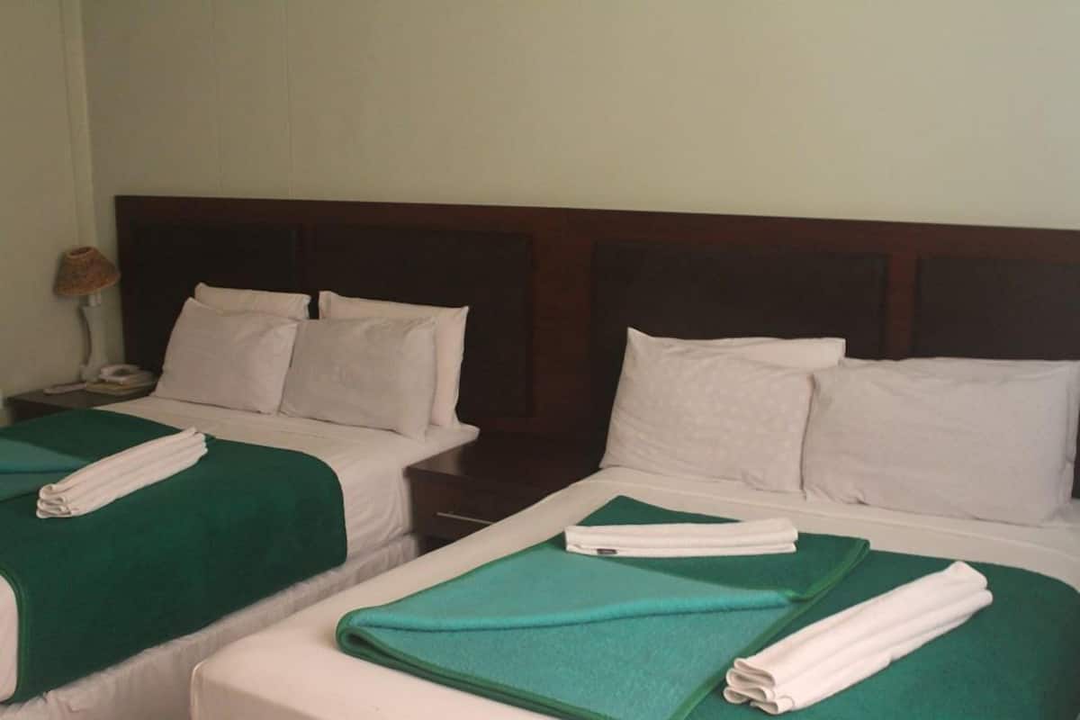 Two single beds with green bedspreads and white pillows, a wooden headboard, and a nightstand with a lamp and a telephone.