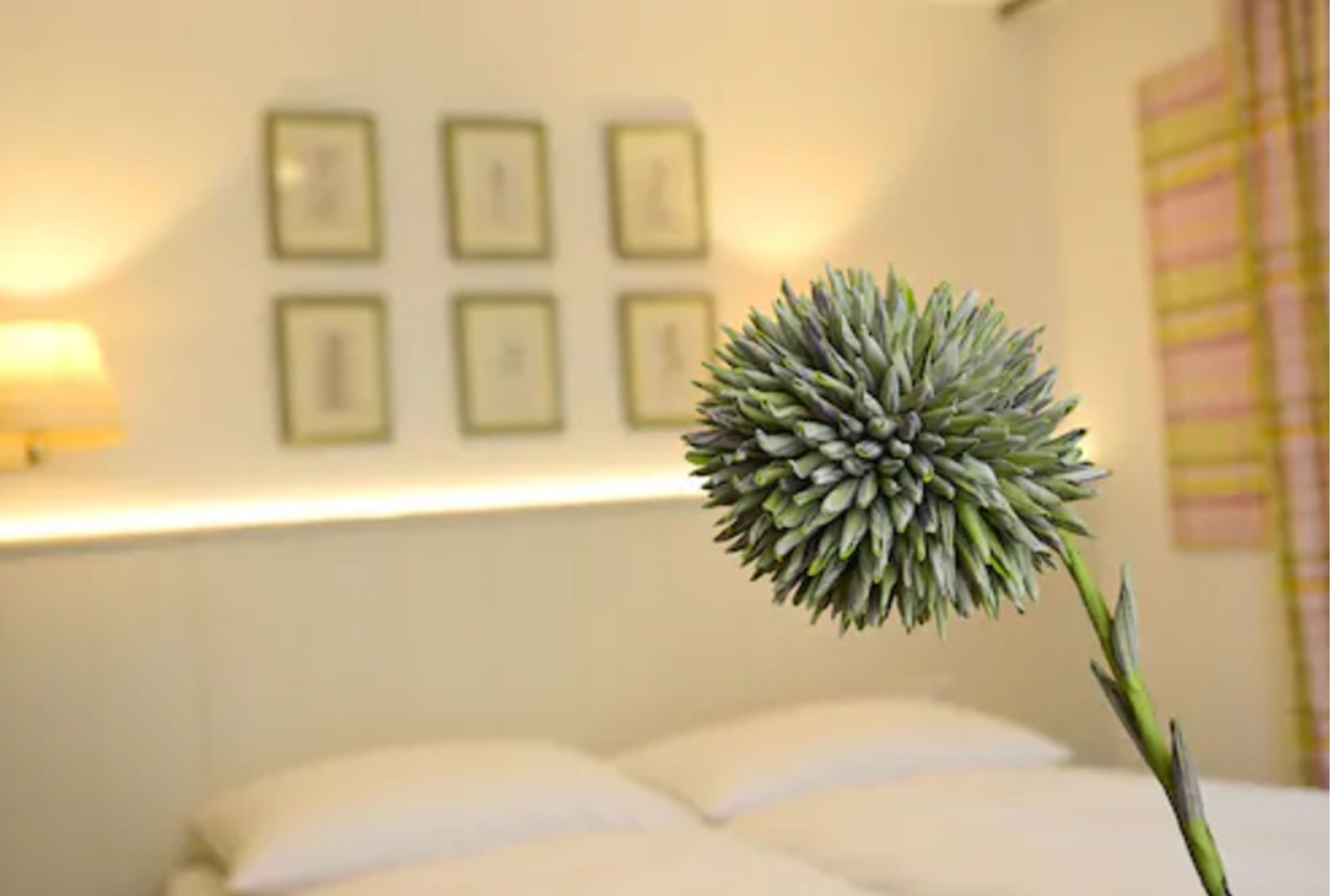A room with a bed, a wall with framed pictures, and a potted plant.