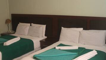 Habitación con 2 camas individuales, vista al jardín | Caja de seguridad en la habitación, escritorio y wifi gratis