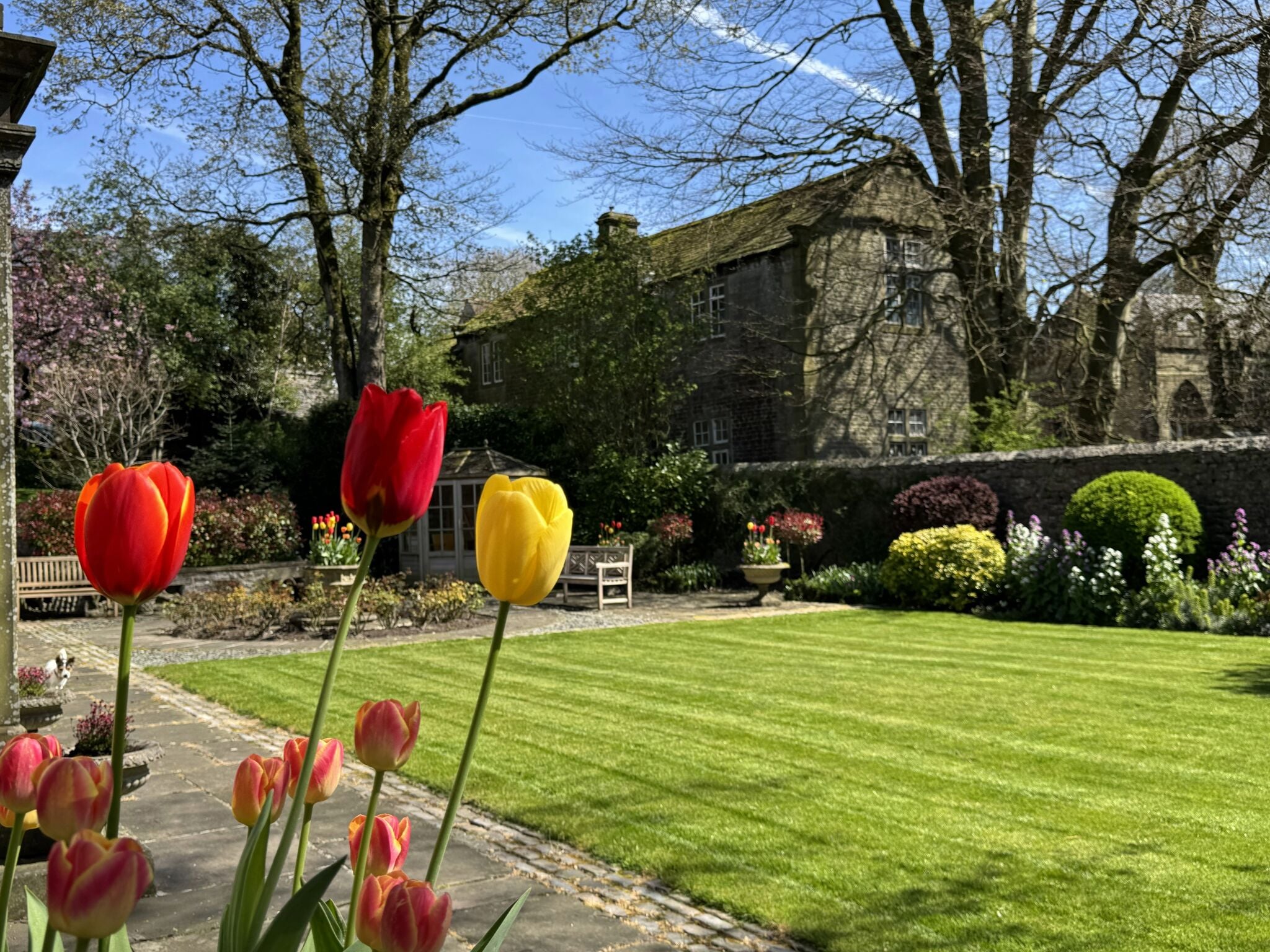 Un jardin avec des tulipes au premier plan et un bâtiment en pierre en arrière-plan.