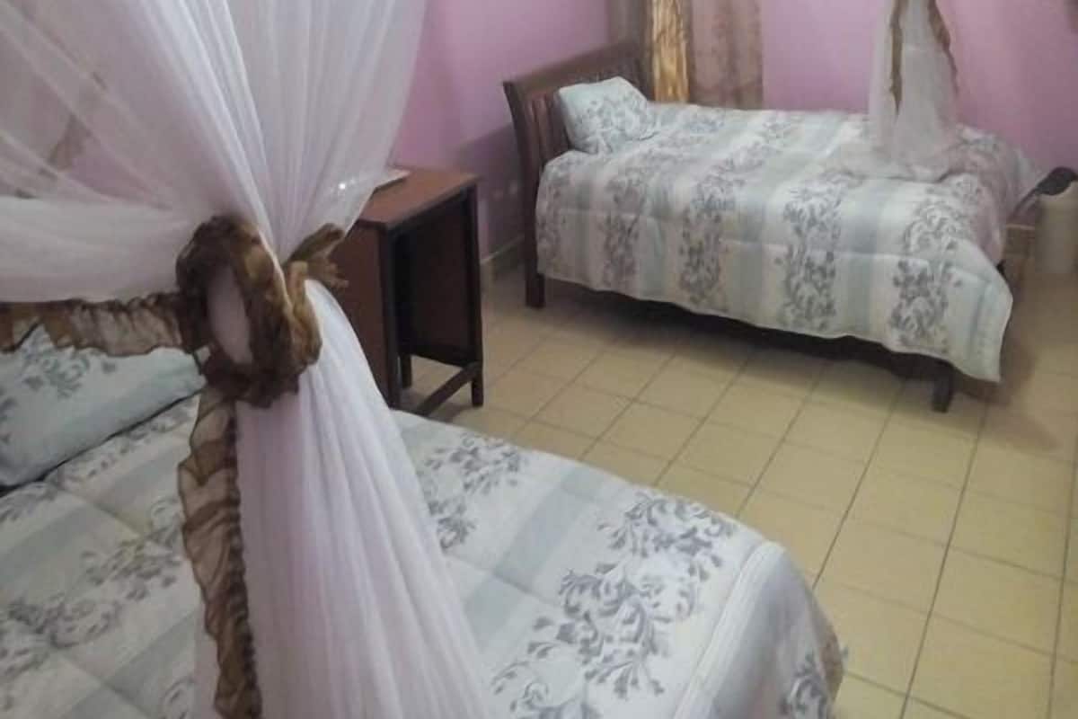 Premium bedding, desk, free WiFi