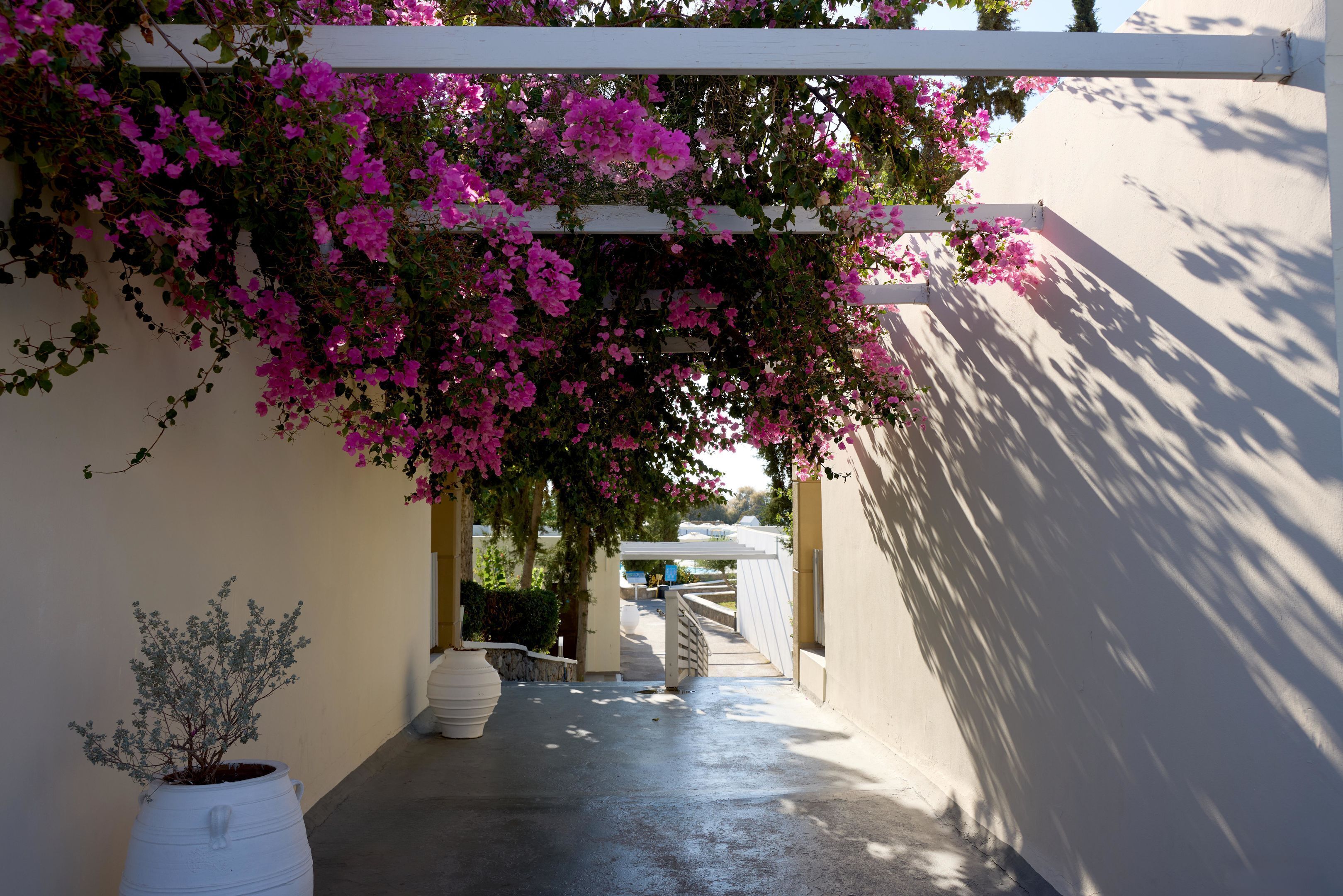 Foto - Labranda Kiotari Miraluna Resort