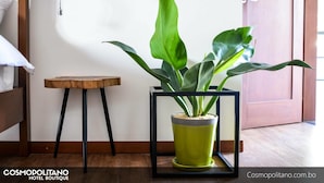 A room with a bed, a small wooden stool, a potted plant in a black frame, and a door in the background. - Cosmopolitano Hotel Boutique (Santa Cruz)