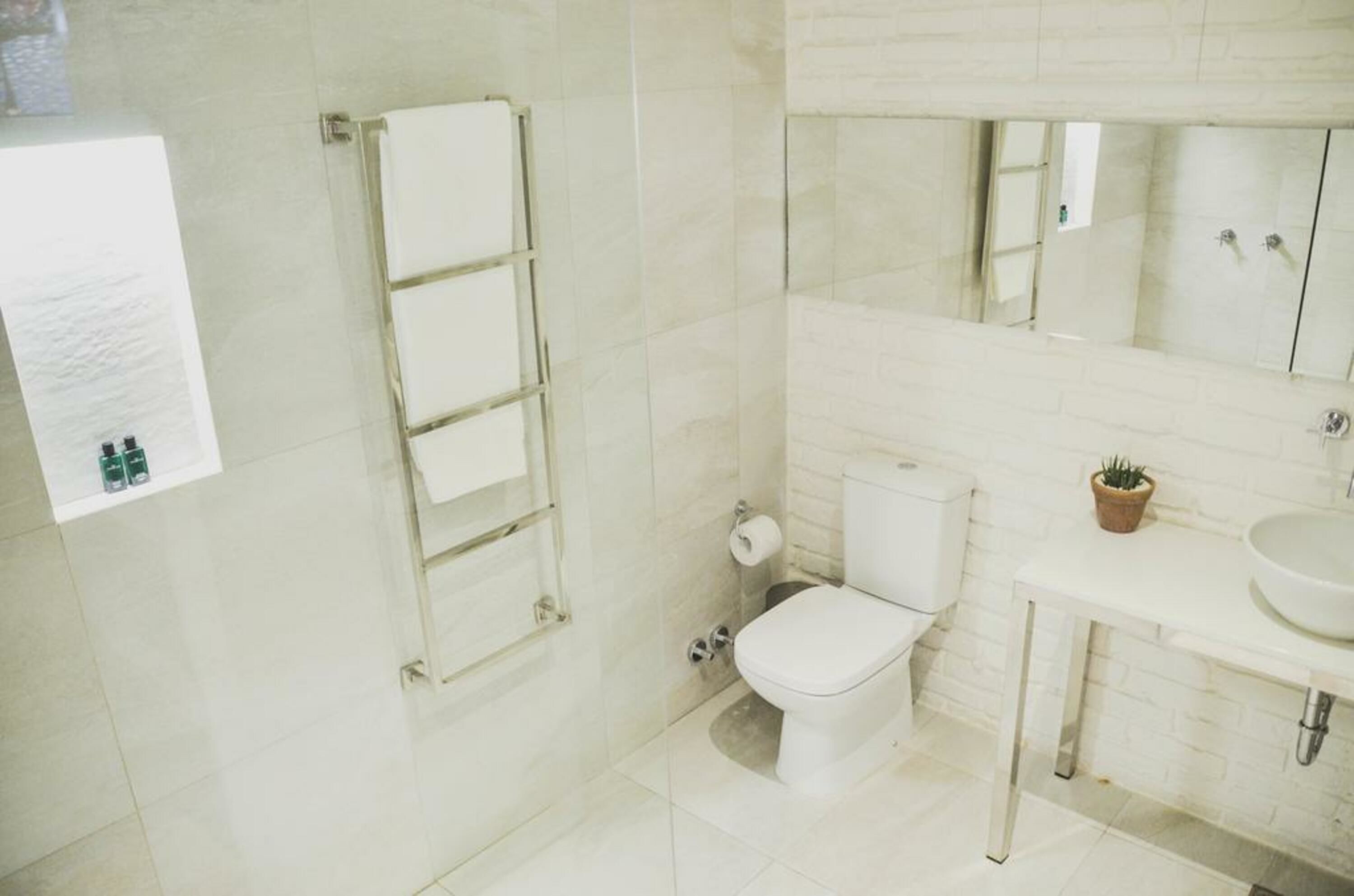 A bathroom with a toilet, sink, and mirror. There is a towel rack and a small potted plant on the counter.