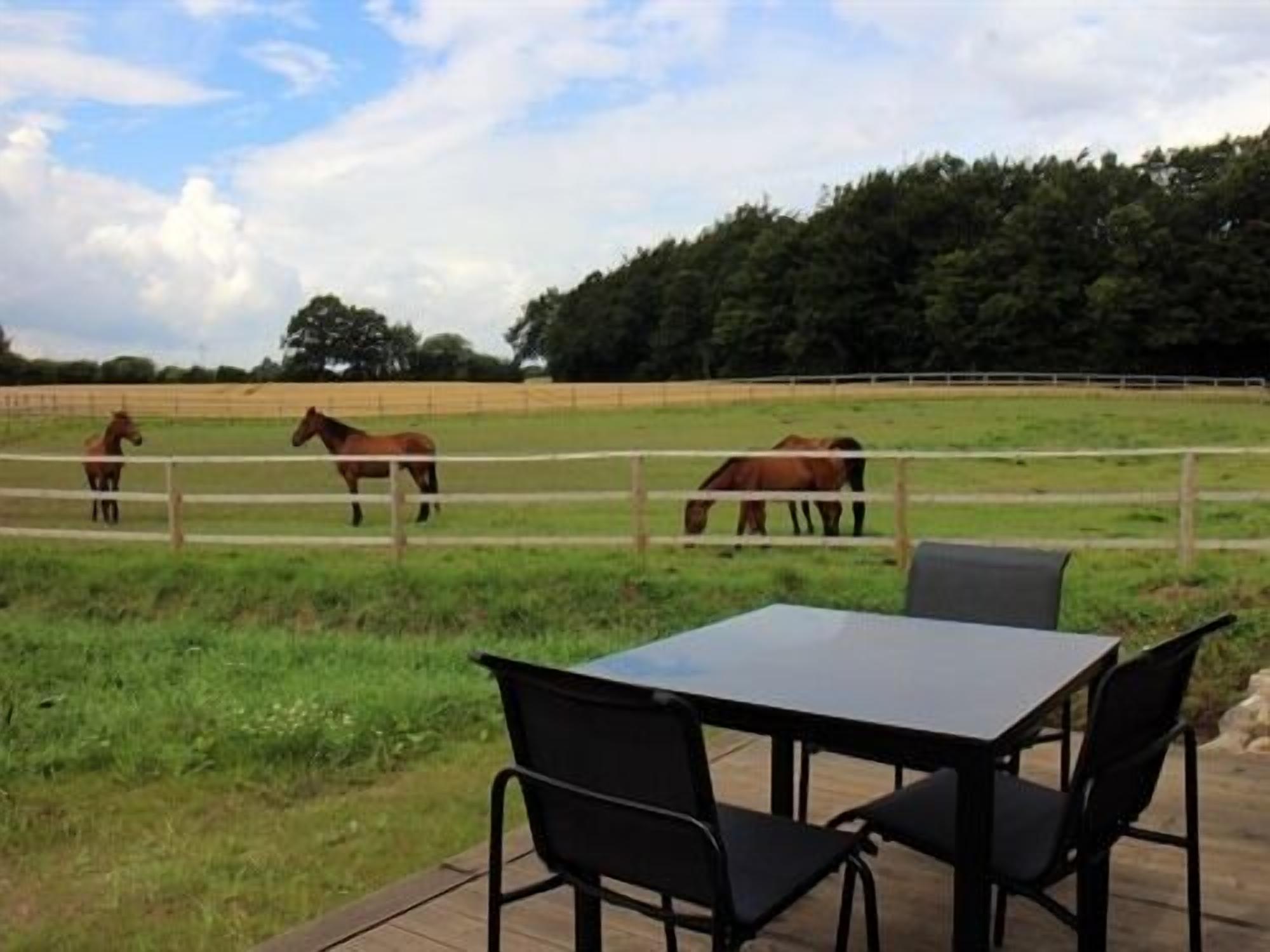 standard apartment, terrace (souhayla) | view from property