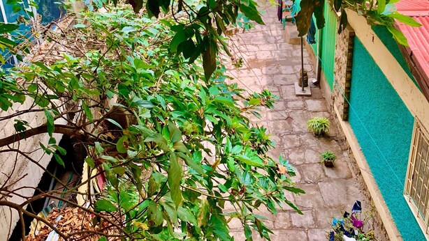 A narrow stone pathway flanked by lush green foliage and potted plants. - Family Cozy Bed & Breakfast (Addis Ababa)