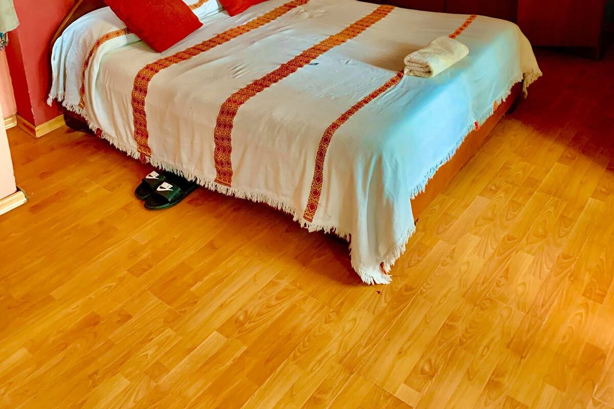 Basic Single Room, Shared Bathroom | Premium bedding, desk, iron/ironing board (on request), rollaway beds