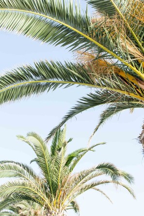 Exterior - Paradise Beach Hotel (Zakynthos)