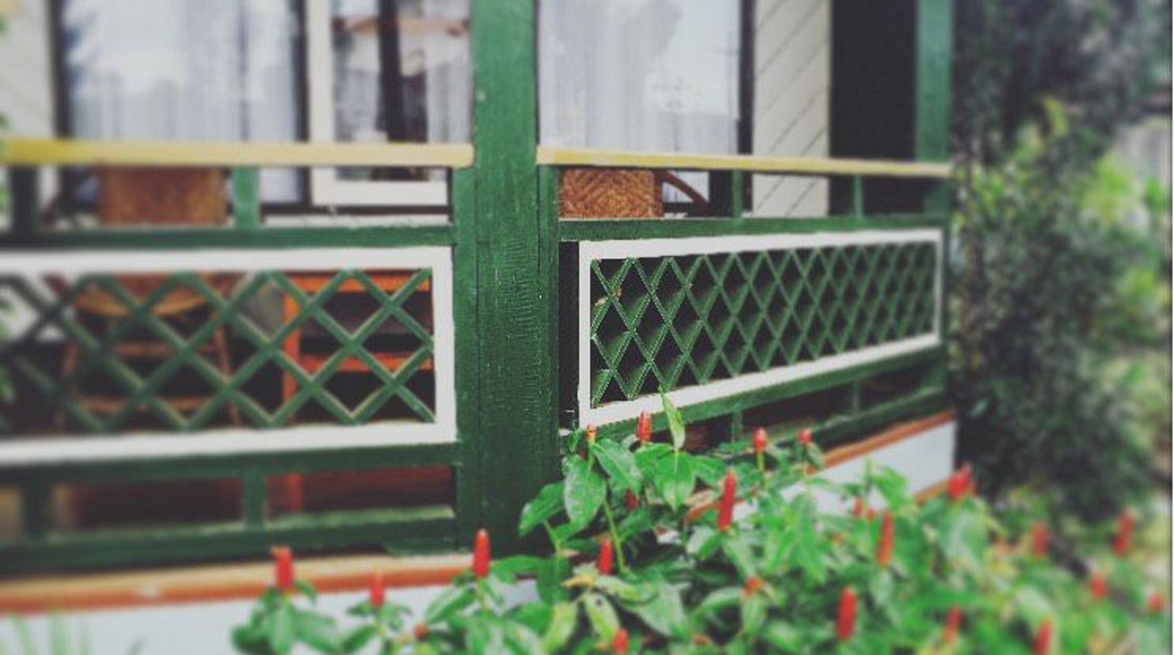 A green wooden railing with lattice design, part of a building's exterior.