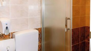 A bathroom with a toilet, a hand dryer, and a glass shower enclosure.