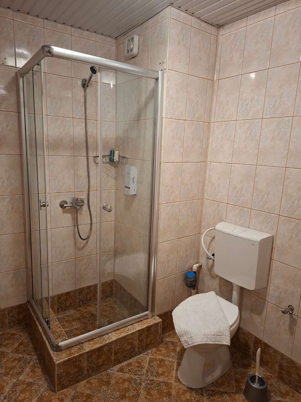Un baño con ducha de vidrio, inodoro y bidé.