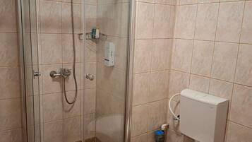 Un baño con ducha de vidrio, inodoro y bidé.