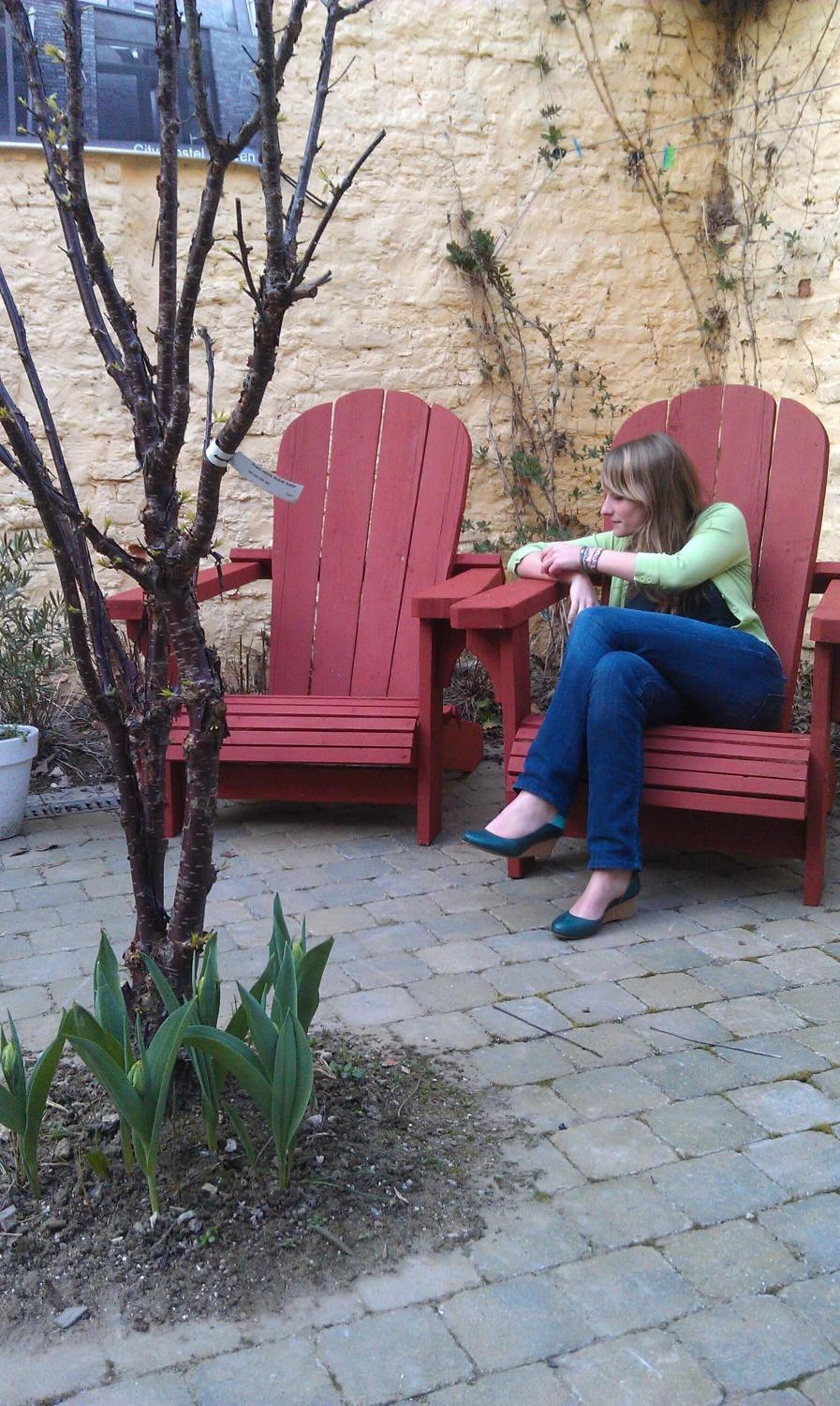 Una persona sentada en una silla roja al aire libre, cerca de un árbol pequeño y plantas.