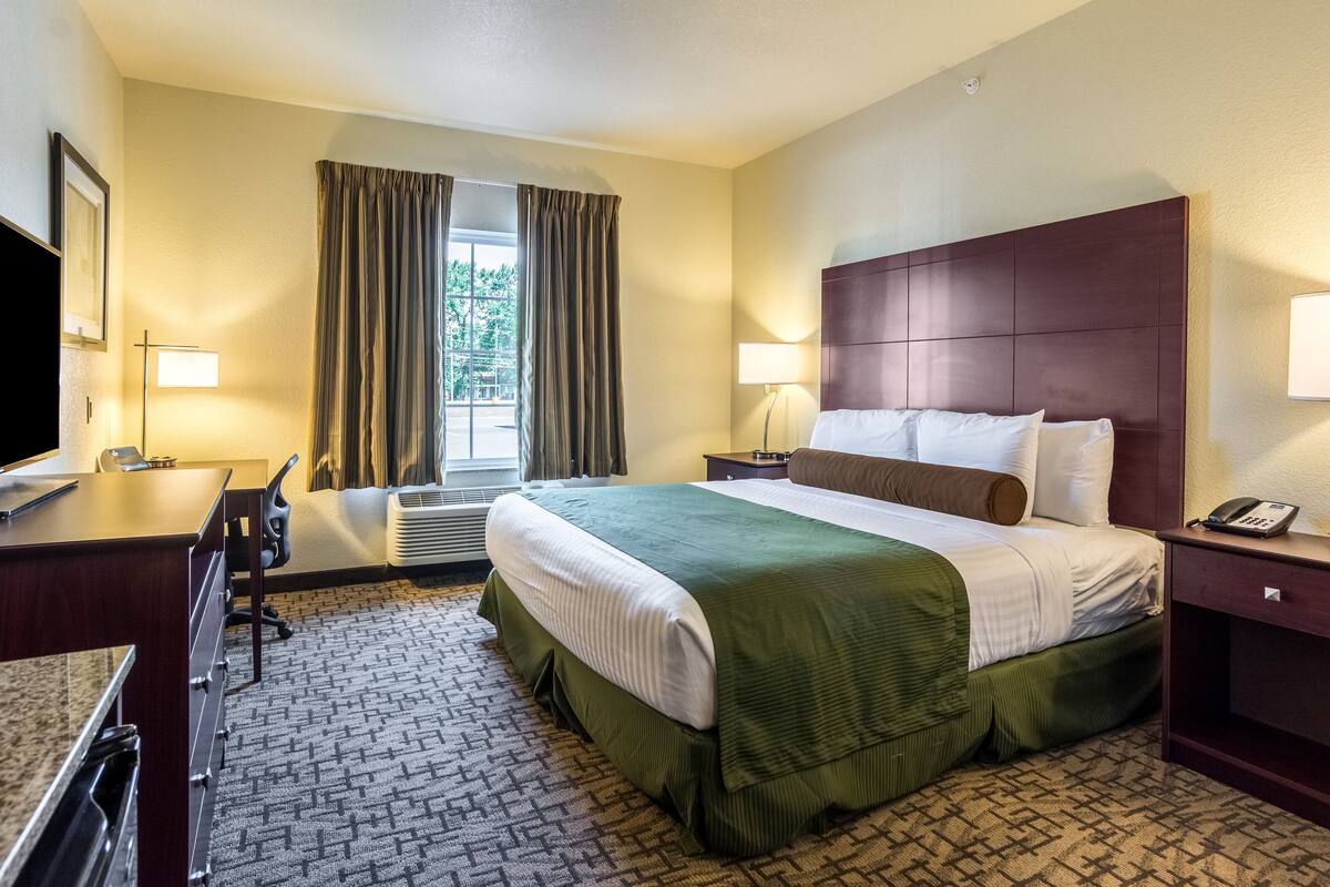 Une chambre d’hôtel avec un grand lit, un bureau, une chaise, une télévision, une lampe et une fenêtre avec des rideaux.