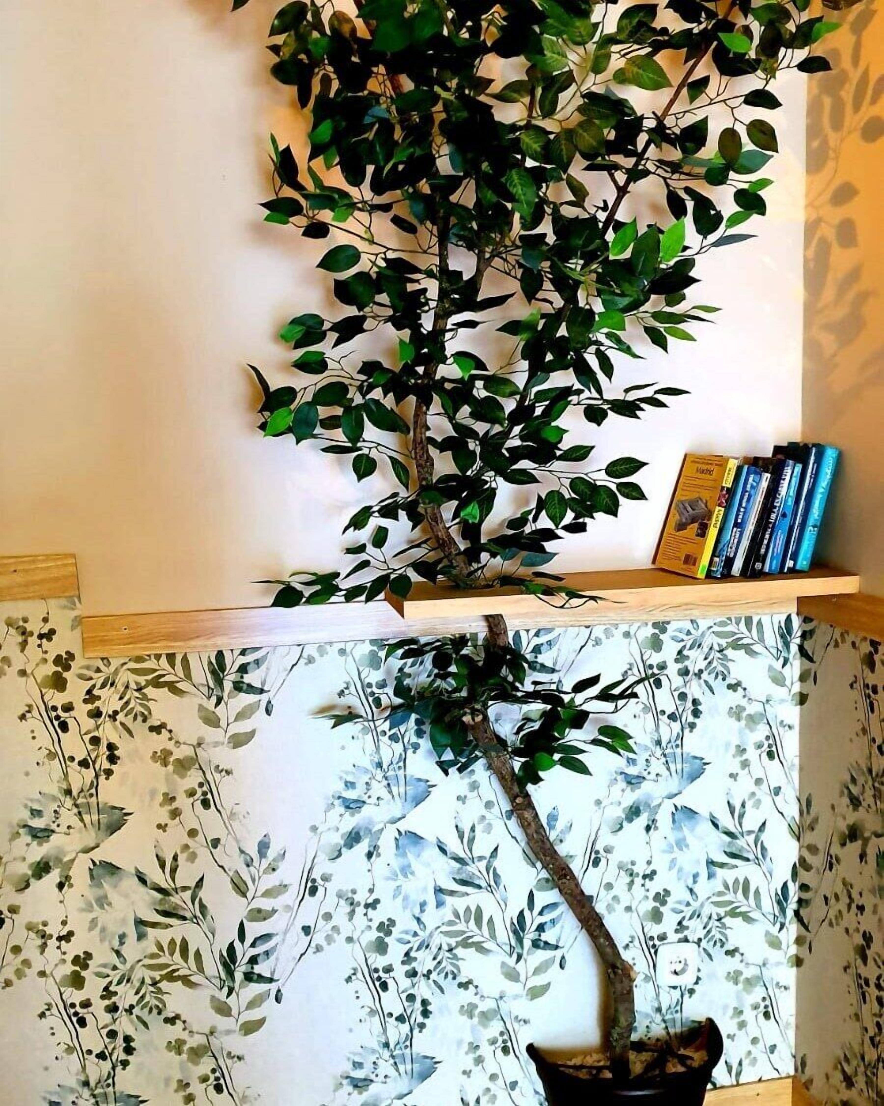 Foto - GREEN Hostel MADRID GRAN VIA