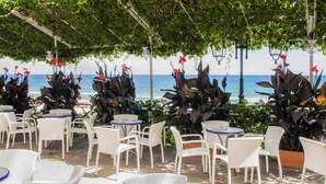 An outdoor seating area with white chairs and tables, surrounded by large potted plants and overlooking the sea. - Hotel Beau Sejour (Alassio)