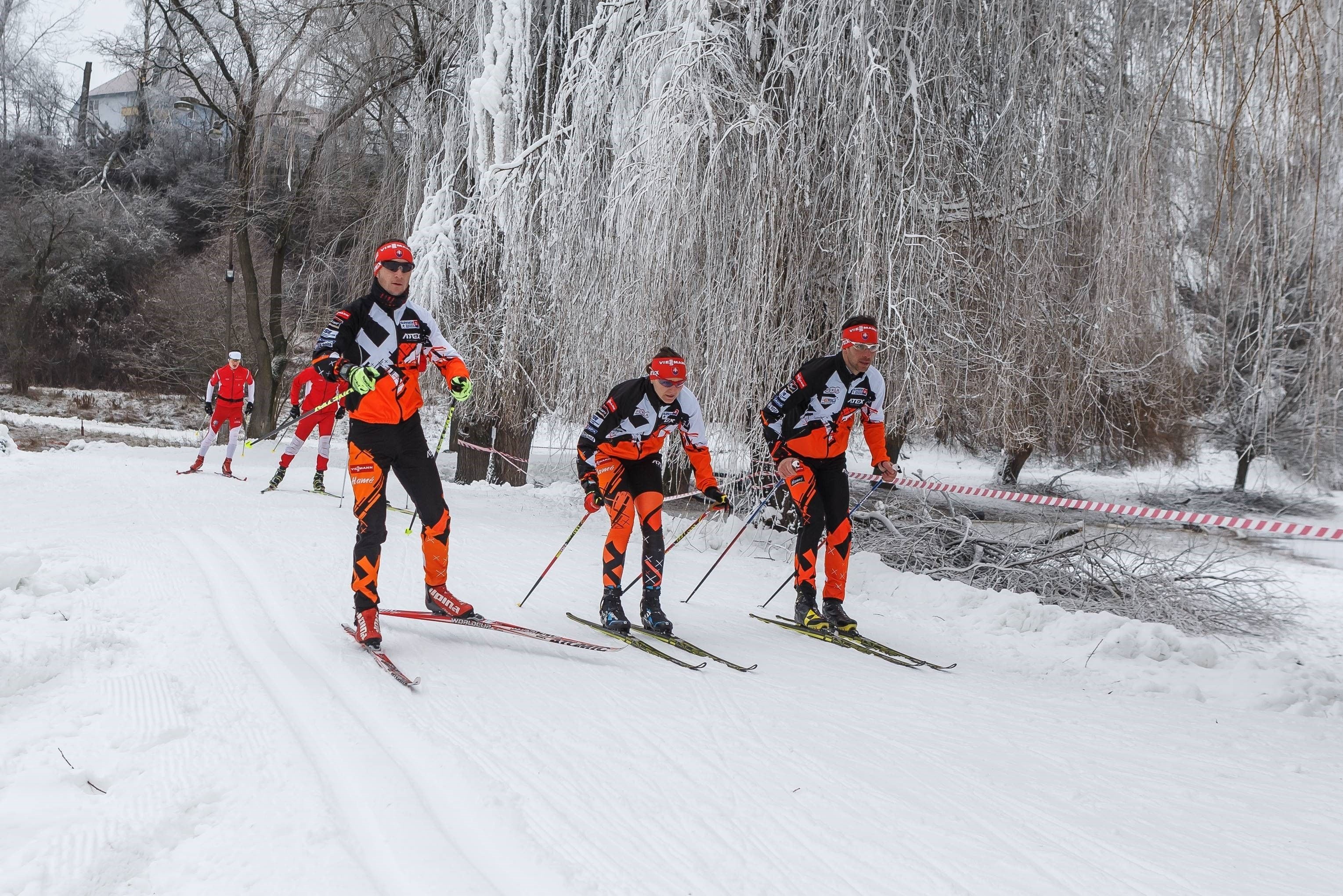 Olahraga salju dan ski