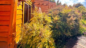 A wooden cabin with a wooden deck and a satellite dish. - Cabañas Pewma Futrono (Futrono)