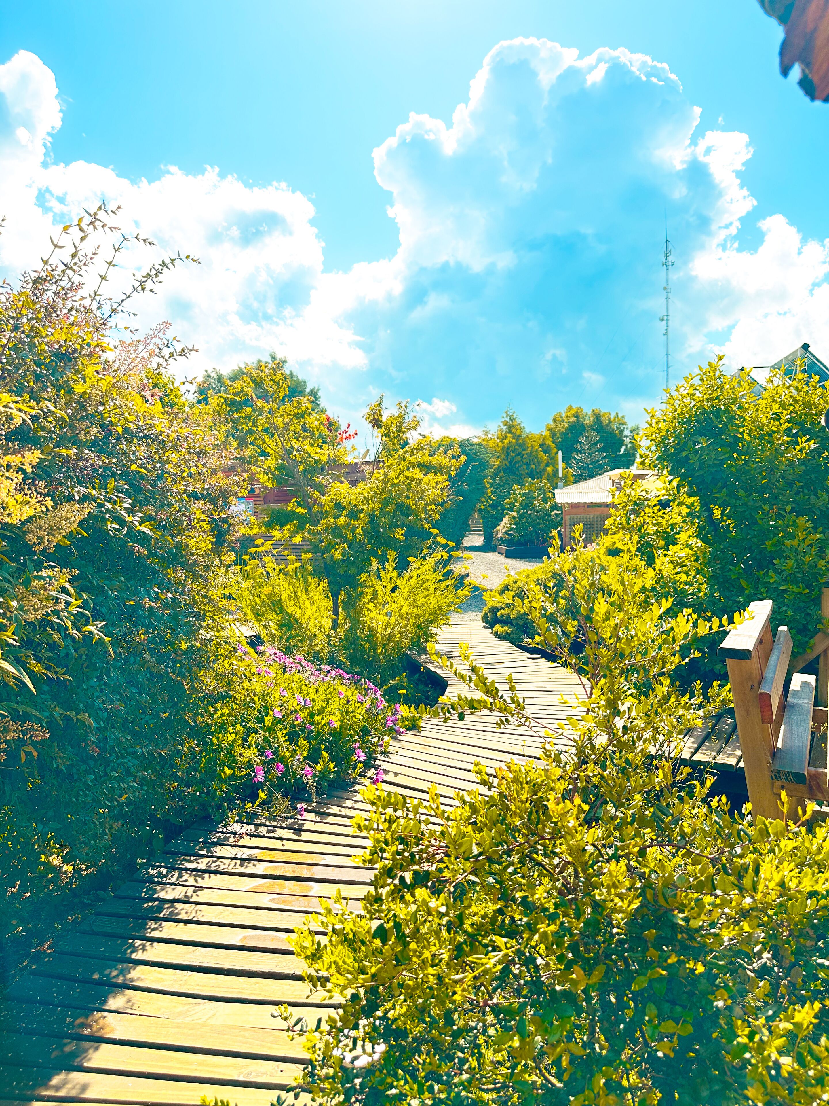 Un sentier en bois, bordé d’une végétation luxuriante et de plantes en fleurs, mène à un bâtiment doté d’un toit en pente.