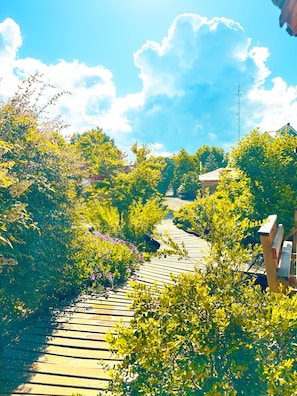 A wooden pathway surrounded by lush greenery and flowering plants, leading to a building with a sloped roof. - Cabañas Pewma Futrono (Futrono)