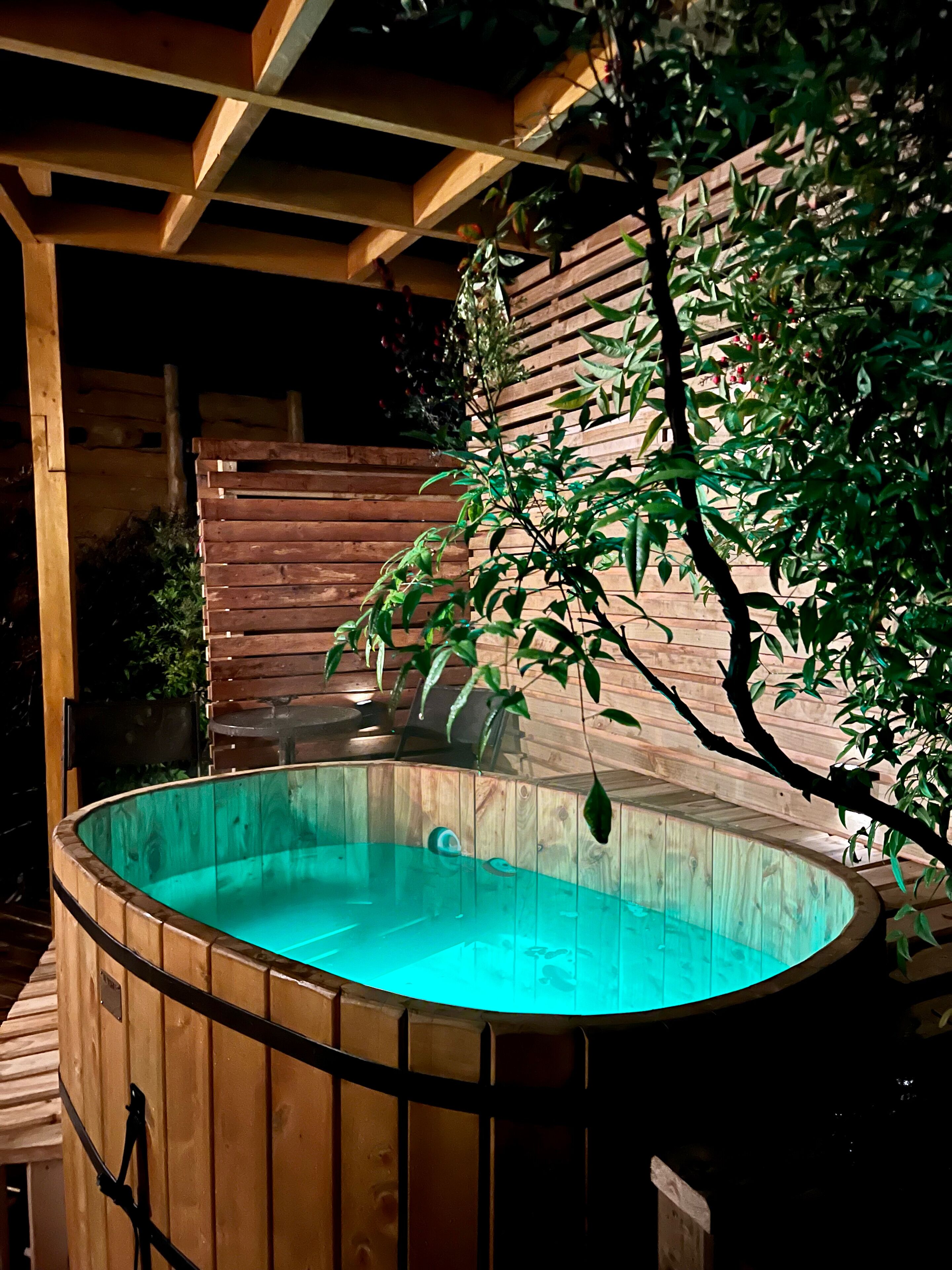 Cabañas Pewma Futrono